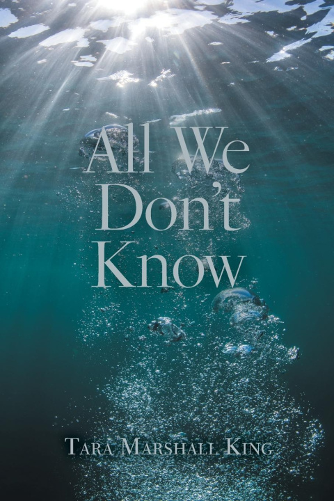 Kniha All We Don't Know 
