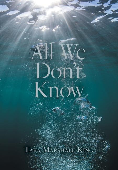Kniha All We Don't Know 