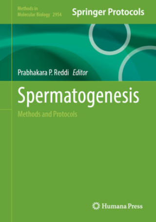 Kniha Spermatogenesis Prabhakara P. Reddi