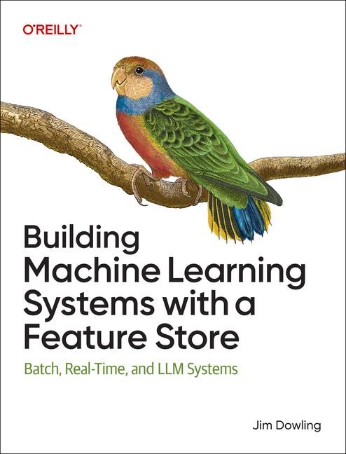 Knjiga Building Machine Learning Systems with a Feature Store DOWLING JIM