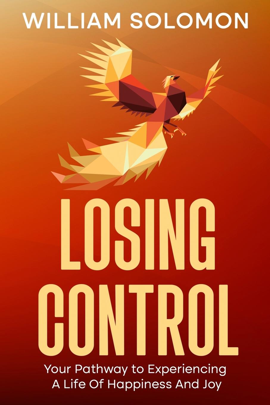 Kniha Losing Control William Solomon