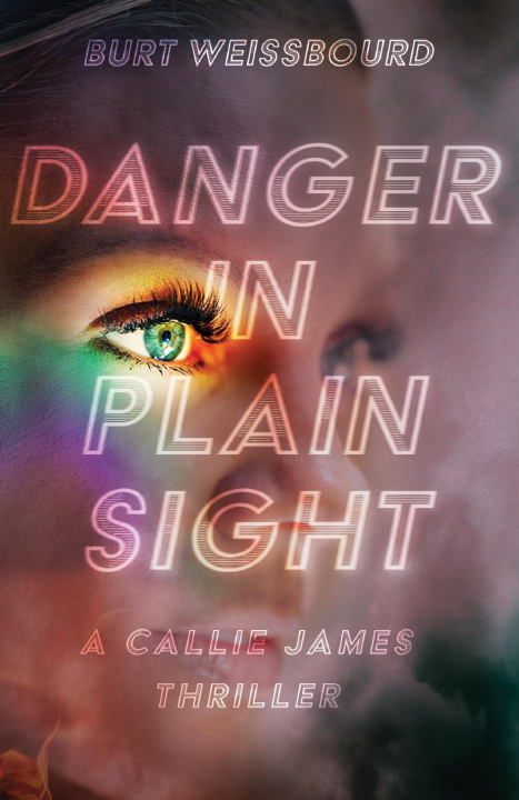 Knjiga Danger in Plain Sight Burt Weissbourd