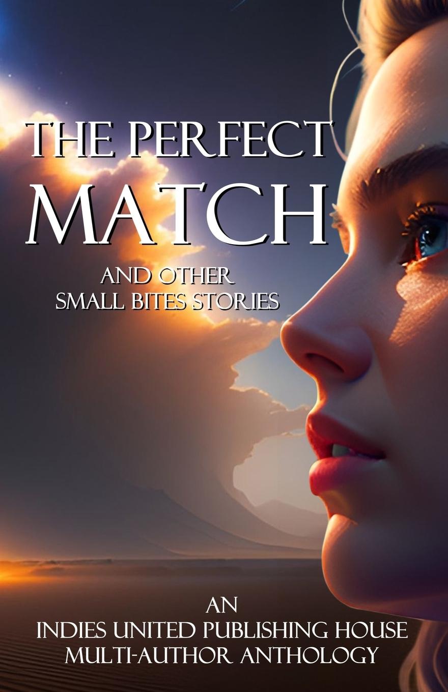 Kniha The Perfect Match 