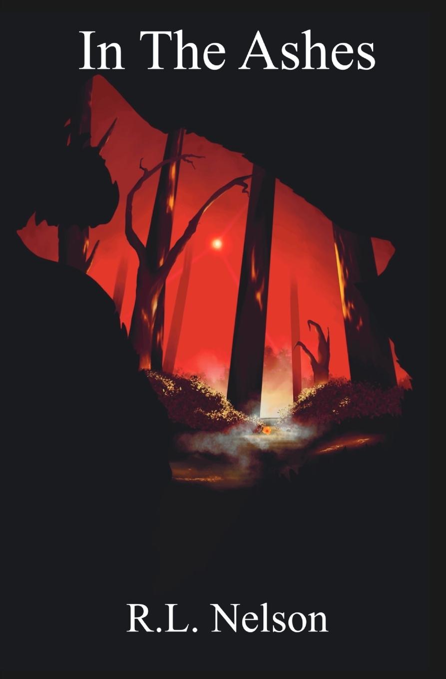 Kniha In The Ashes 