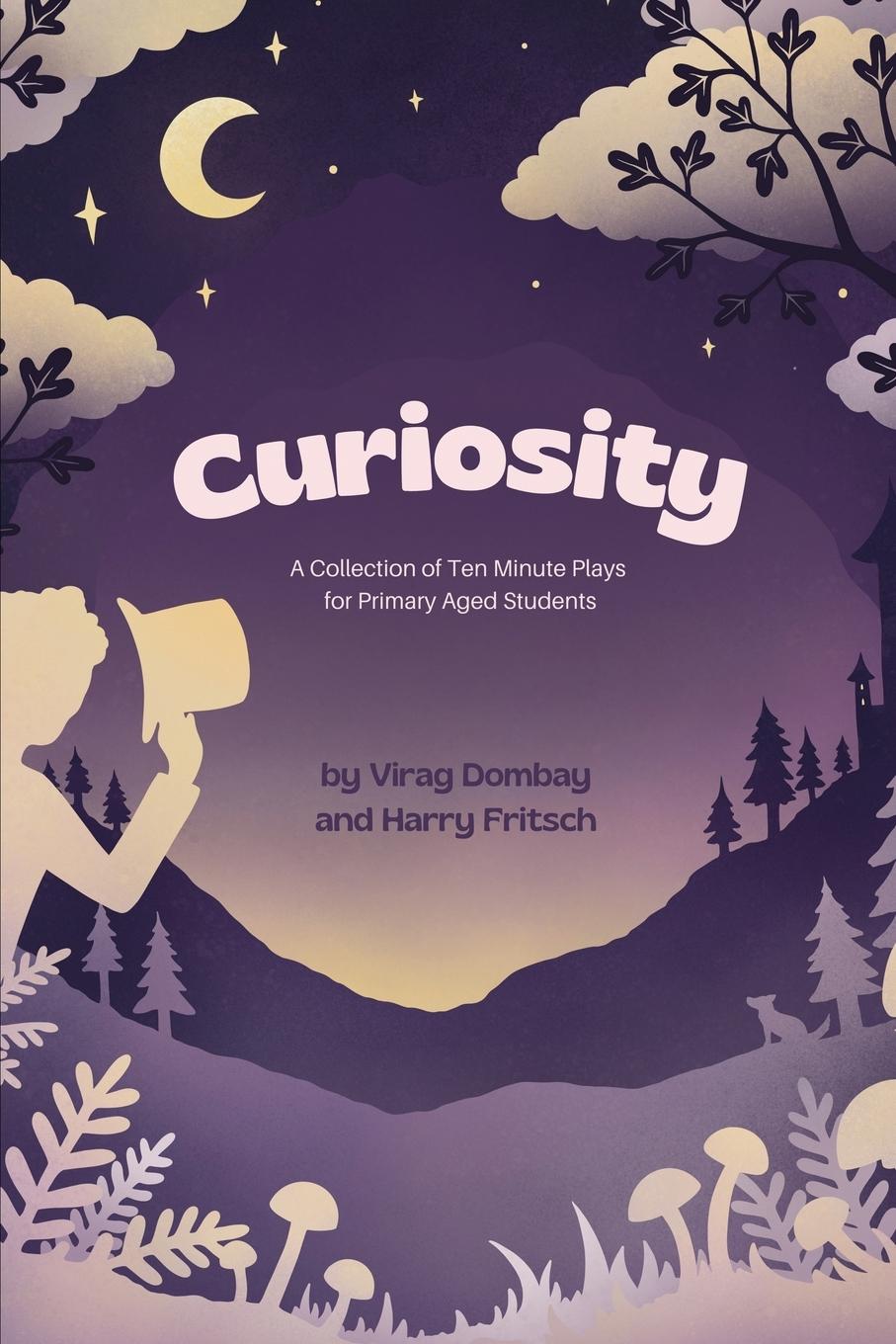 Kniha Curiosity Harry Fritsch