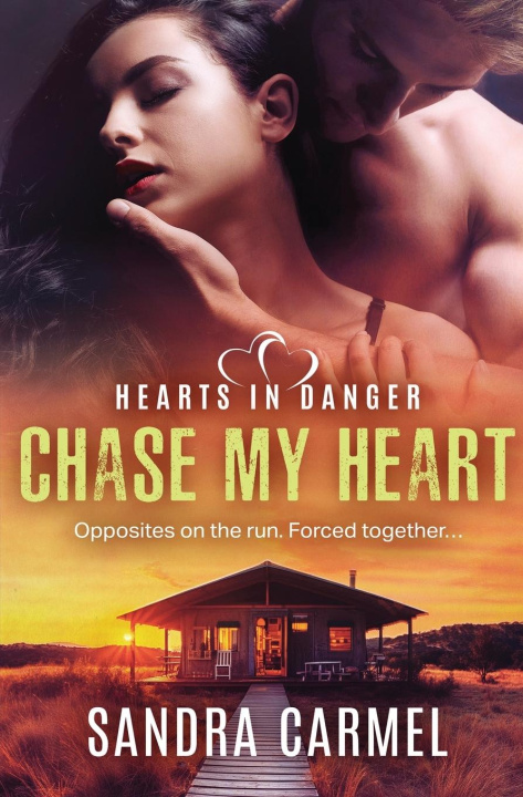 Kniha Chase my Heart 