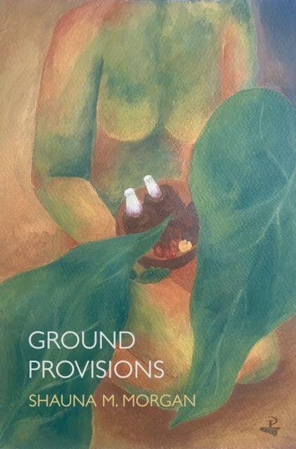 Kniha Ground Provisions Shauna M. Morgan