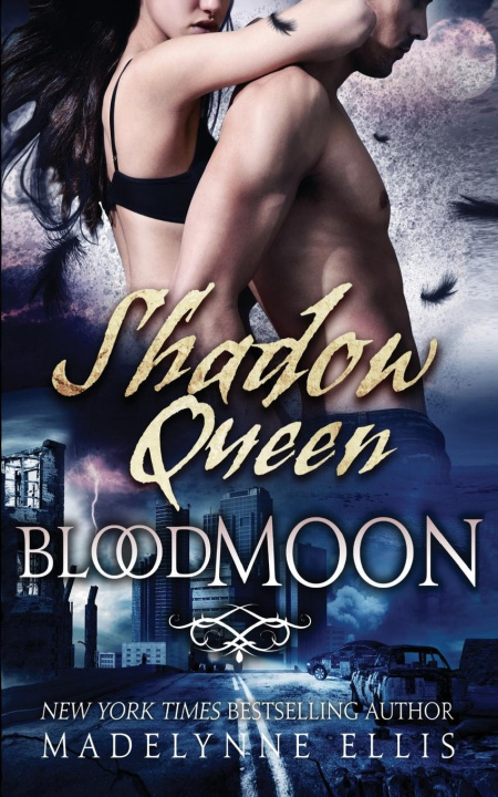 Kniha Shadow Queen 