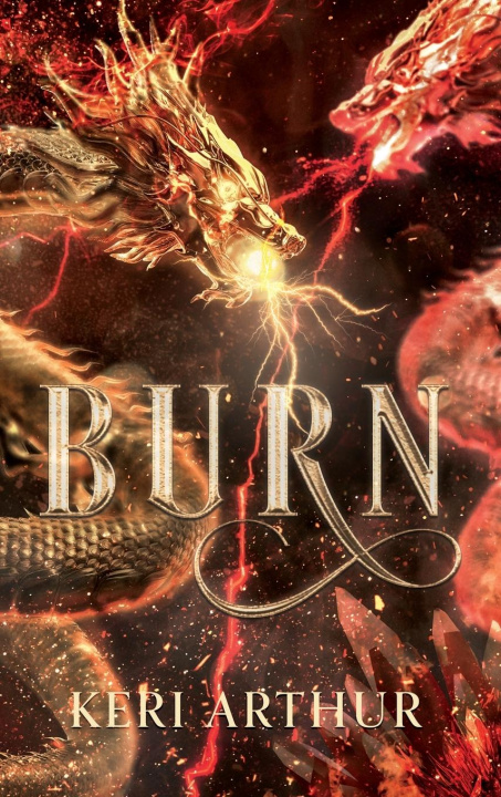 Kniha Burn 