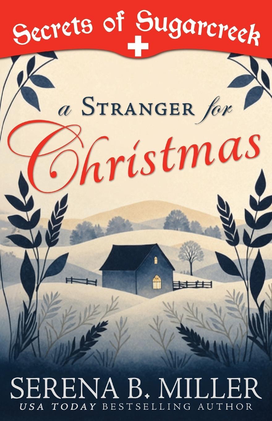 Kniha A Stranger for Christmas Hannah Miller