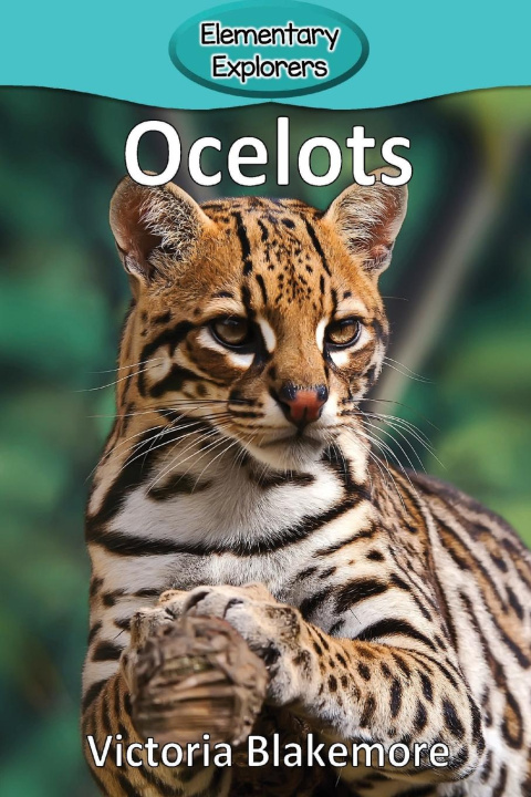 Kniha Ocelots 