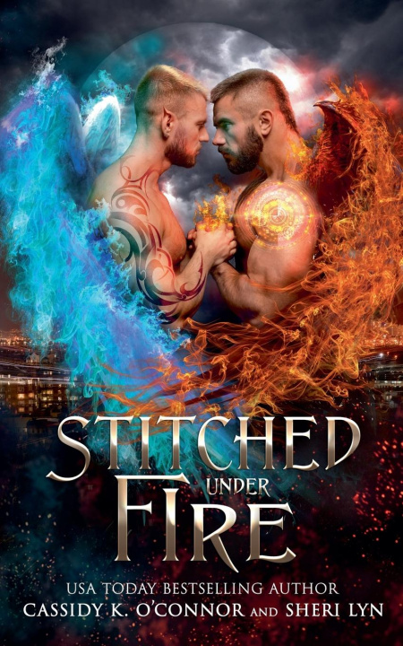 Kniha Stitched Under Fire Sheri Lyn