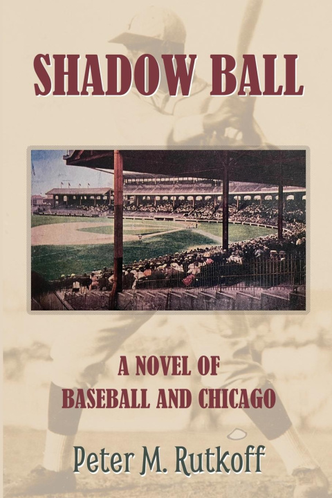 Kniha Shadow Ball 