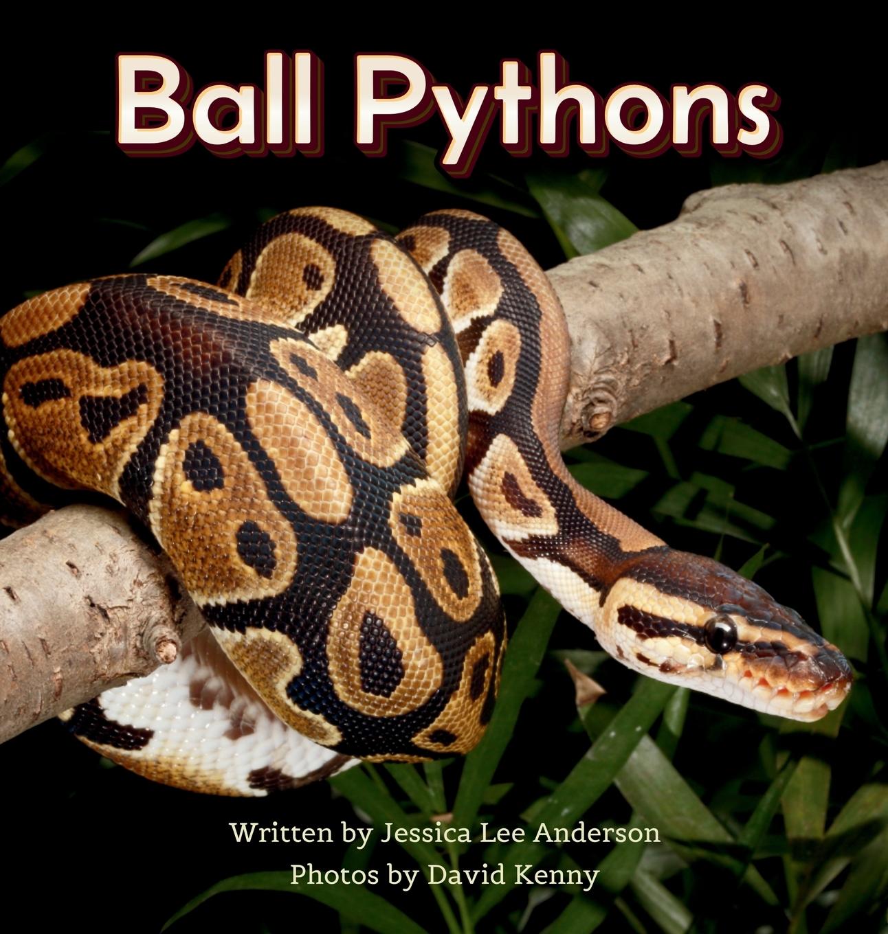 Книга Ball Pythons David Kenny