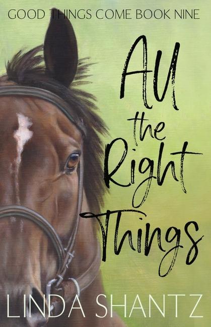 Kniha All The Right Things Linda Shantz