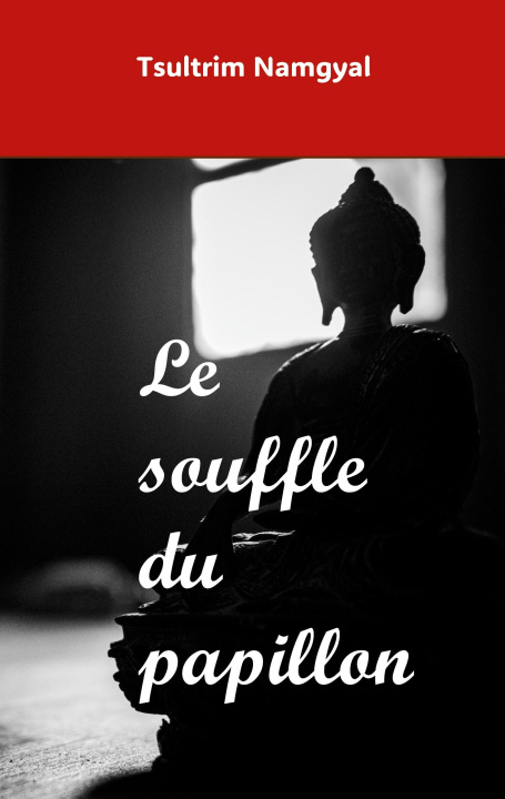 Kniha Le souffle du papillon Namgyal