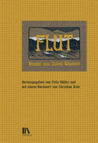 Книга Flut Felix Müller