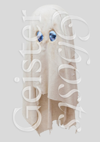 Kniha Geister / Ghosts Eva Reifert