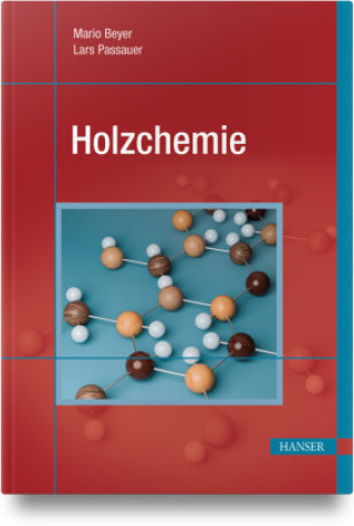Kniha Holzchemie Lars Passauer