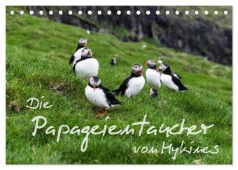 Kalendář/Diář Die Papageientaucher von Mykines (Tischkalender 2026 DIN A5 quer), CALVENDO Monatskalender Calvendo