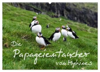 Kalendář/Diář Die Papageientaucher von Mykines (Wandkalender 2026 DIN A2 quer), CALVENDO Monatskalender Calvendo