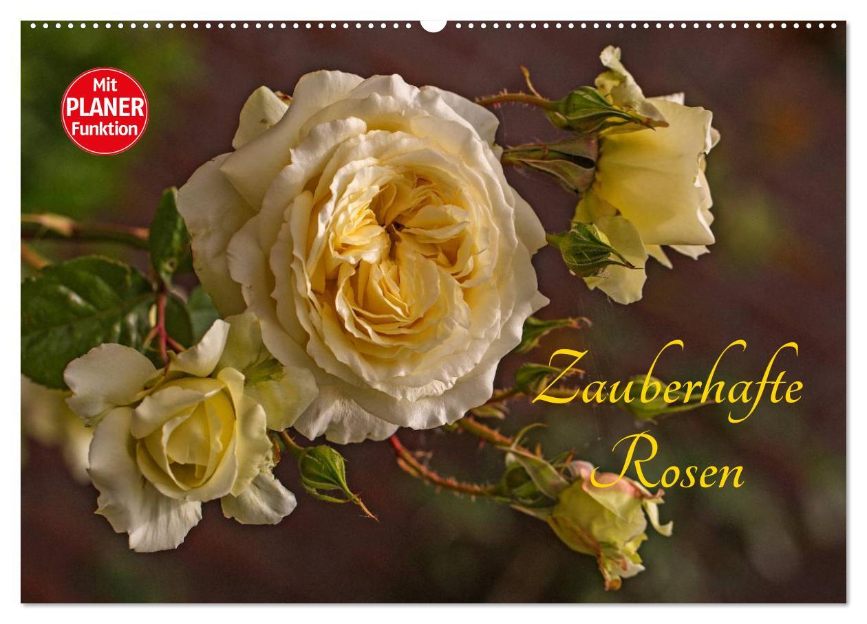 Kalendár/Diár Zauberhafte Rosen (Wandkalender 2026 DIN A2 quer), CALVENDO Monatskalender Calvendo