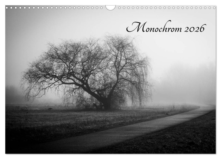 Календар/тефтер Monochrom 2026 (Wandkalender 2026 DIN A3 quer), CALVENDO Monatskalender Calvendo