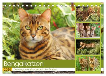 Календар/тефтер Bengalkatzen. Der elegante Mini-Leopard im Garten (Tischkalender 2026 DIN A5 quer), CALVENDO Monatskalender Calvendo