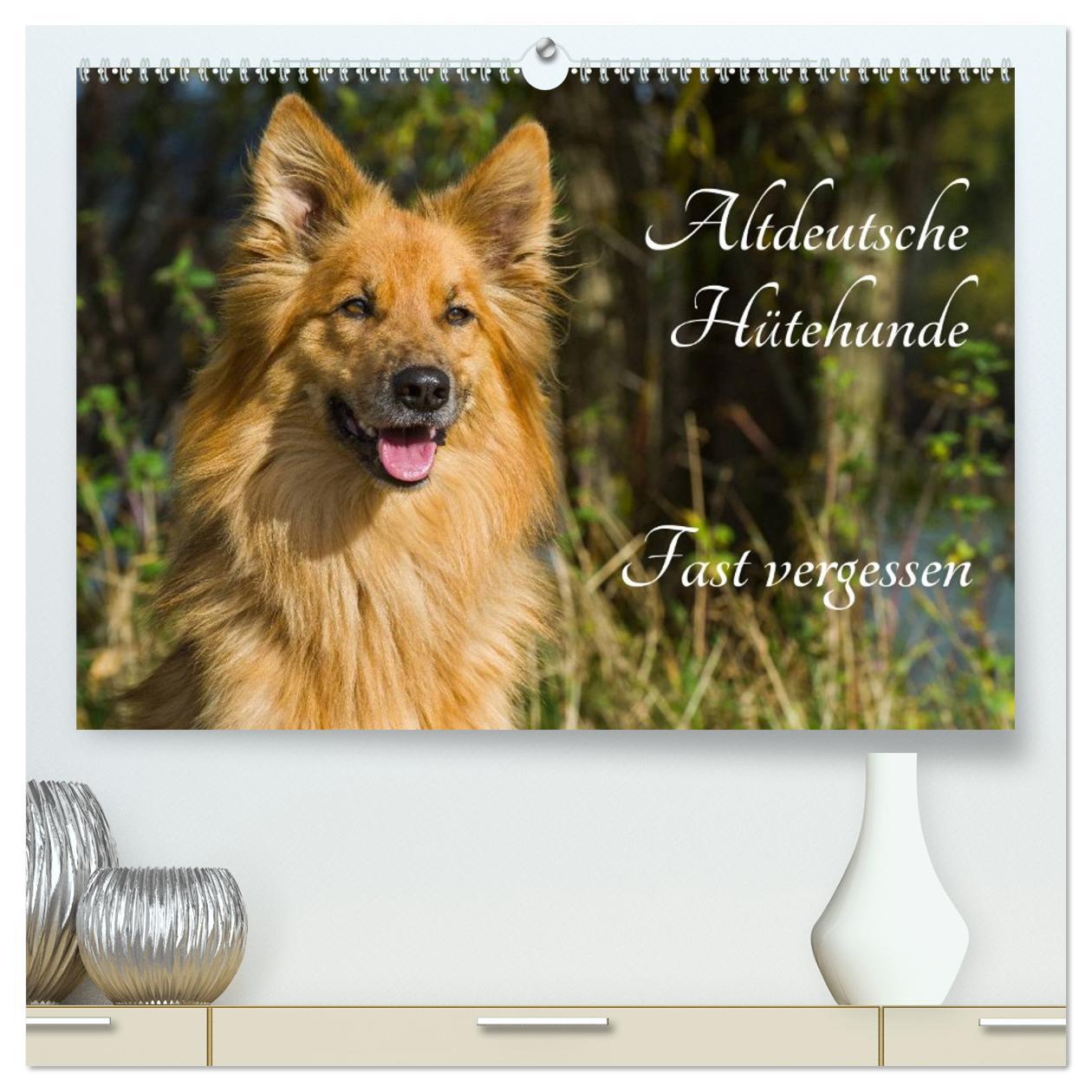 Календар/тефтер Altdeutsche Hütehunde - Fast vergessen (hochwertiger Premium Wandkalender 2026 DIN A2 quer), Kunstdruck in Hochglanz Calvendo