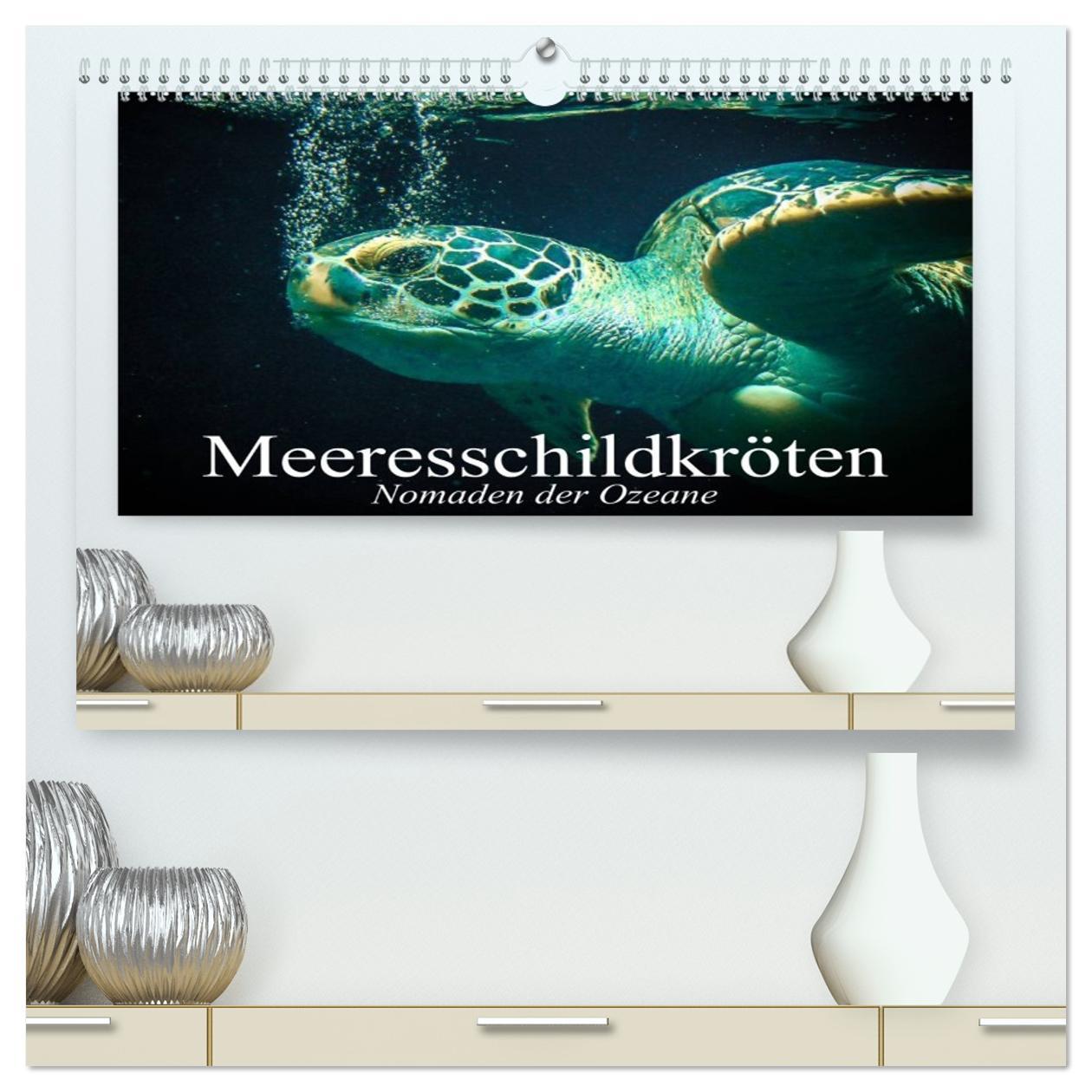Календар/тефтер Meeresschildkröten. Nomaden der Ozeane (hochwertiger Premium Wandkalender 2026 DIN A2 quer), Kunstdruck in Hochglanz Calvendo