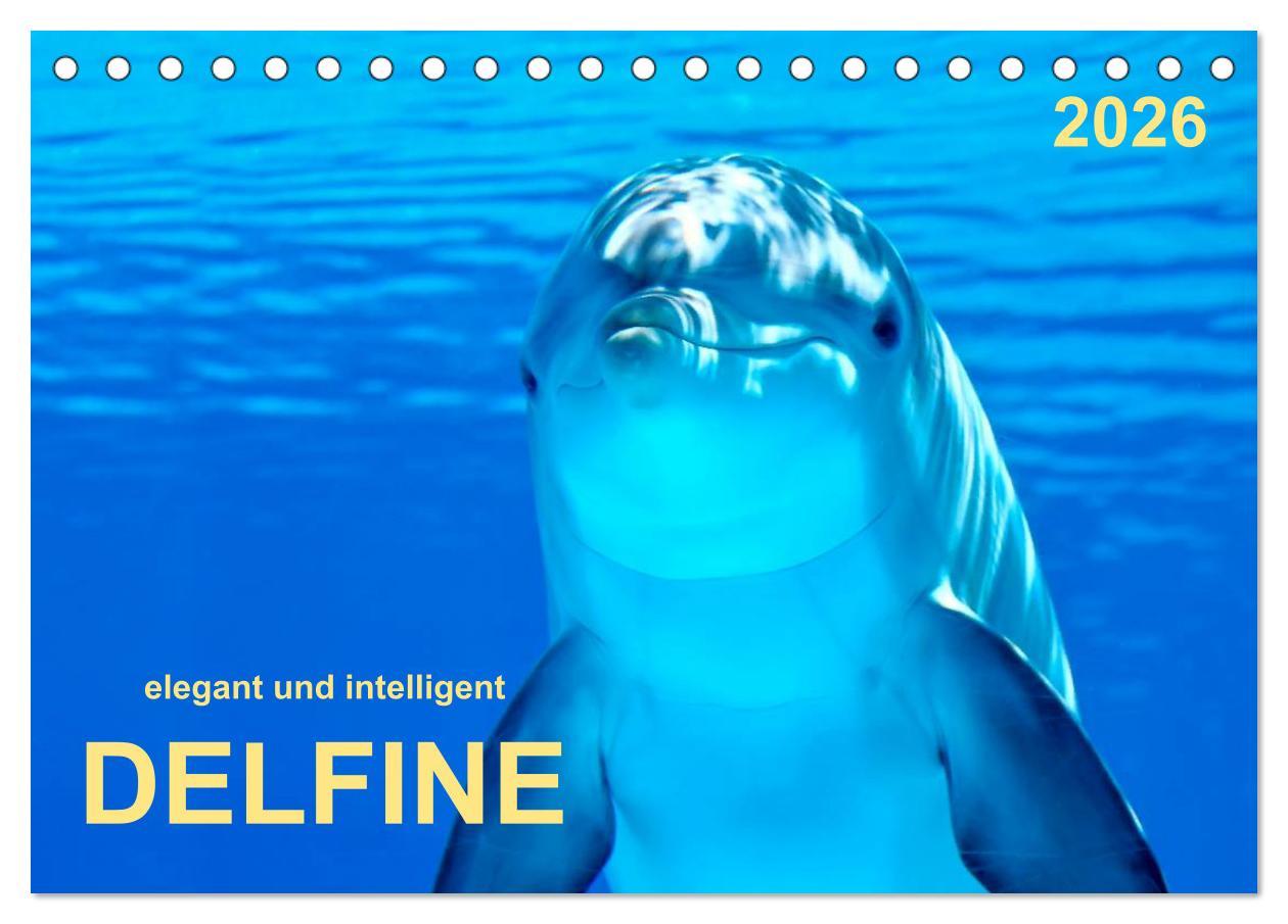 Kalendár/Diár Delfine - elegant und intelligent (Tischkalender 2026 DIN A5 quer), CALVENDO Monatskalender Calvendo