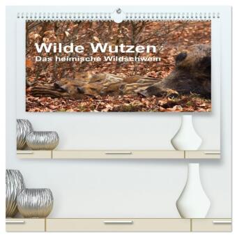 Календар/тефтер Wilde Wutzen. Das heimische Wildschwein (hochwertiger Premium Wandkalender 2026 DIN A2 quer), Kunstdruck in Hochglanz Calvendo