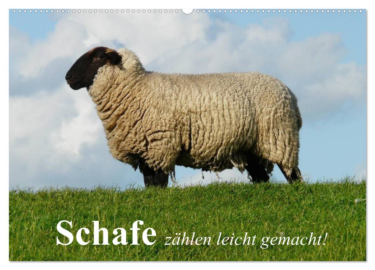 Календар/тефтер Schafe zählen leicht gemacht! (Wandkalender 2026 DIN A2 quer), CALVENDO Monatskalender Calvendo