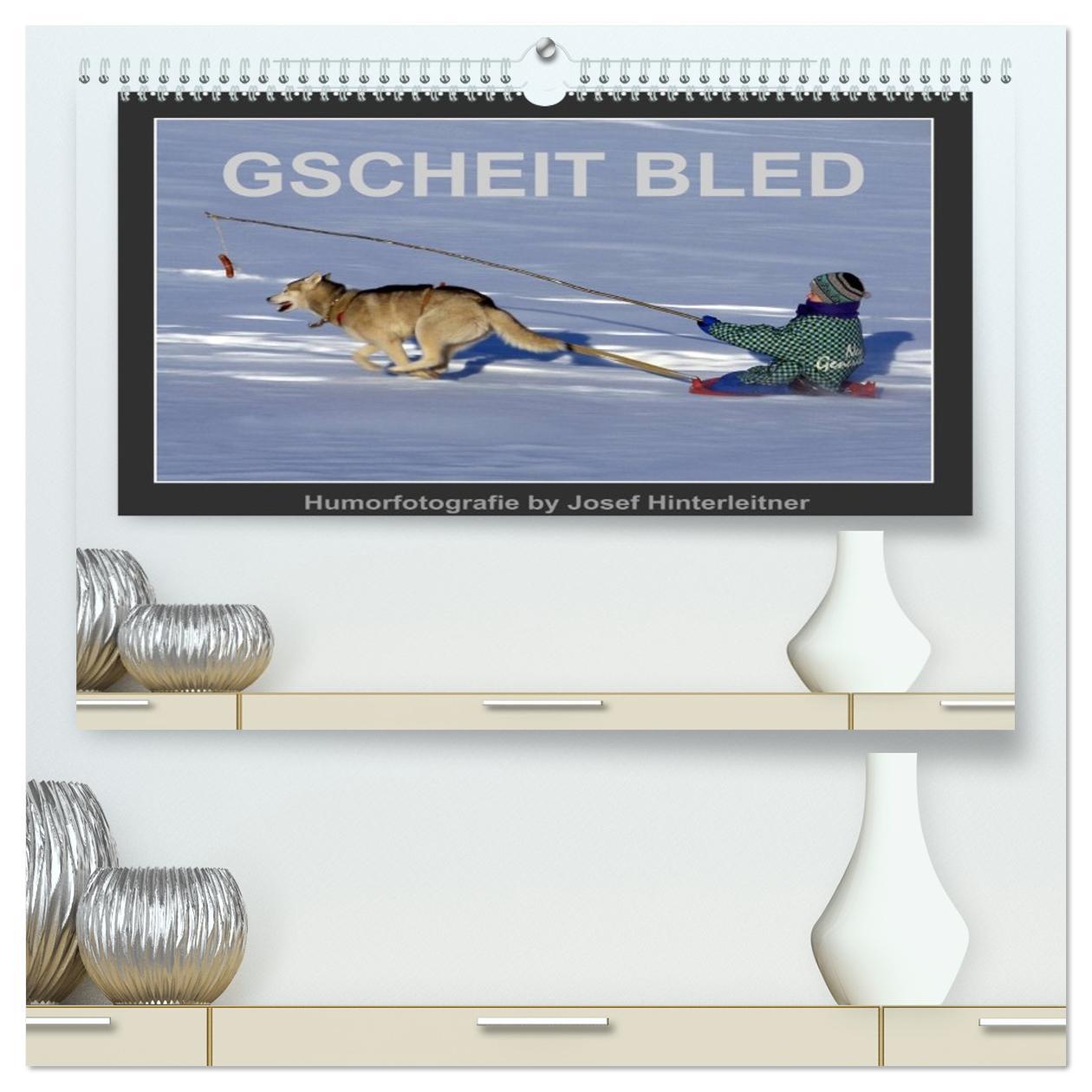 Kalendář/Diář GSCHEIT BLED - Humorfotografie (hochwertiger Premium Wandkalender 2026 DIN A2 quer), Kunstdruck in Hochglanz Calvendo