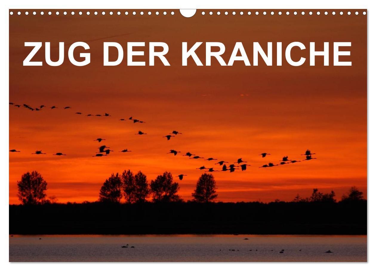 Календар/тефтер Zug der Kraniche (Wandkalender 2026 DIN A3 quer), CALVENDO Monatskalender Calvendo