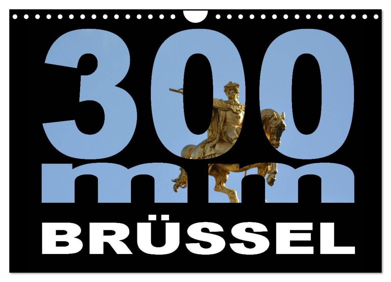 Календар/тефтер 300mm - Brüssel (Wandkalender 2026 DIN A4 quer), CALVENDO Monatskalender Calvendo