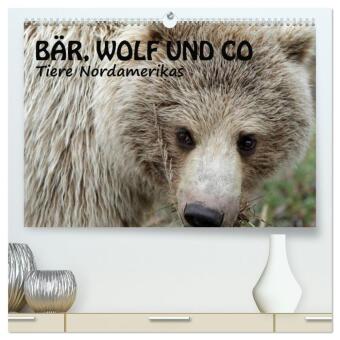 Календар/тефтер Bär, Wolf und Co - Tiere Nordamerikas (hochwertiger Premium Wandkalender 2026 DIN A2 quer), Kunstdruck in Hochglanz Calvendo