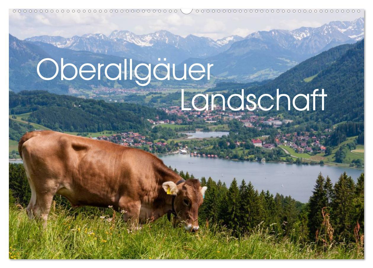 Kalendář/Diář Oberallgäuer Landschaft (Wandkalender 2026 DIN A2 quer), CALVENDO Monatskalender Calvendo