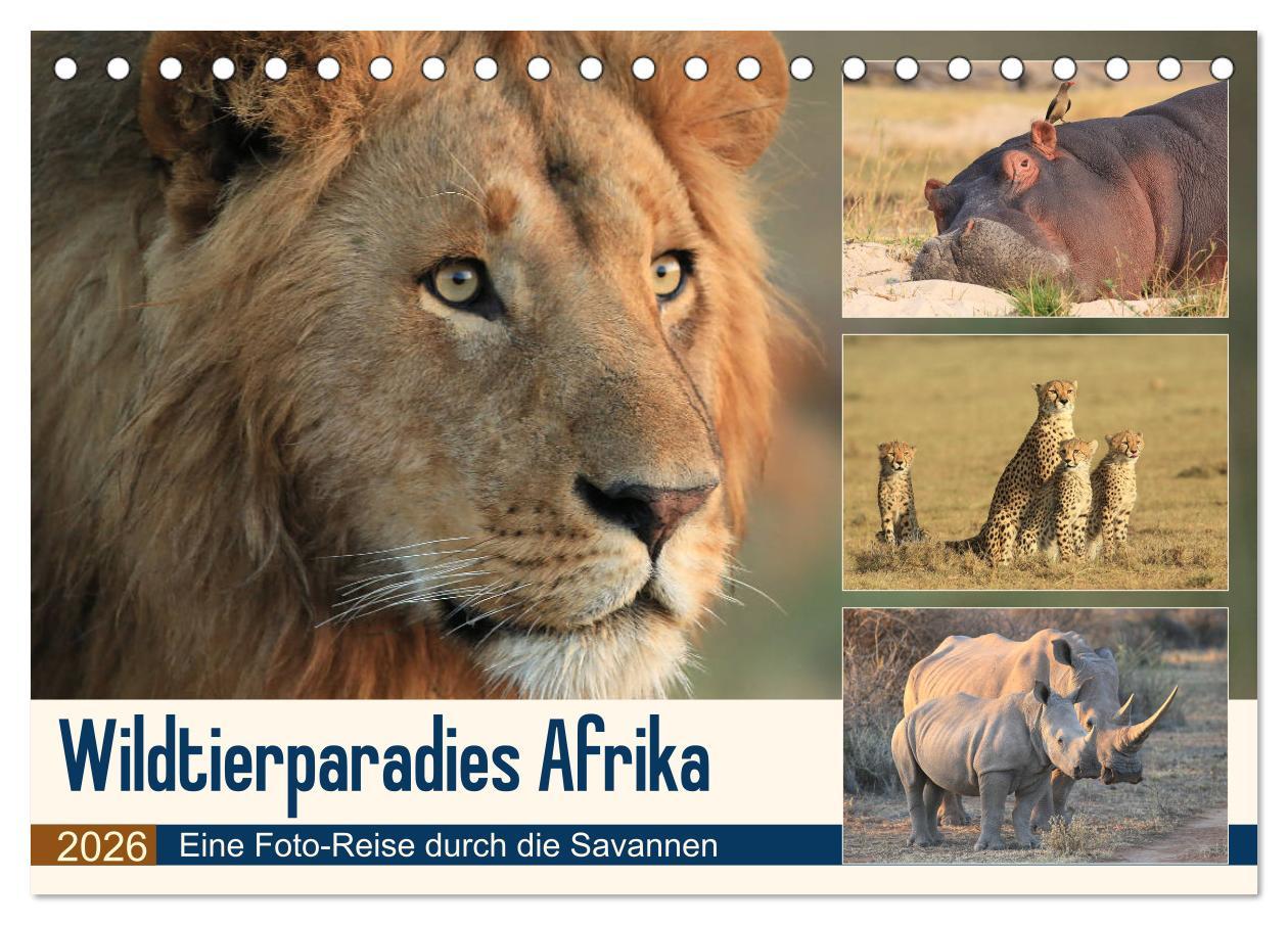 Календар/тефтер Wildtierparadies Afrika - Eine Foto-Reise durch die Savannen (Tischkalender 2026 DIN A5 quer), CALVENDO Monatskalender Calvendo