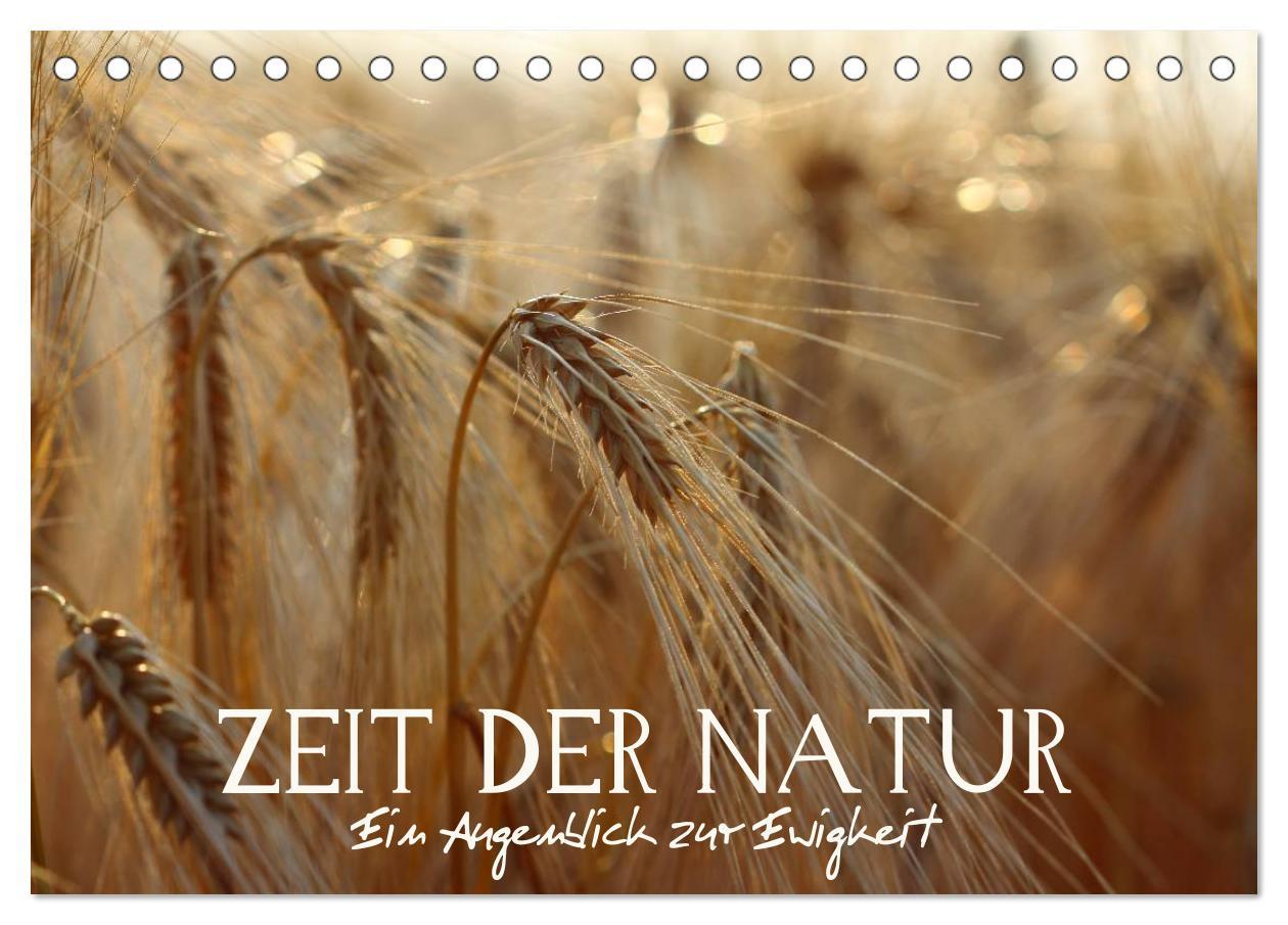 Kalendár/Diár Zeit der Natur - Ein Augenblick zur Ewigkeit (Tischkalender 2026 DIN A5 quer), CALVENDO Monatskalender Calvendo