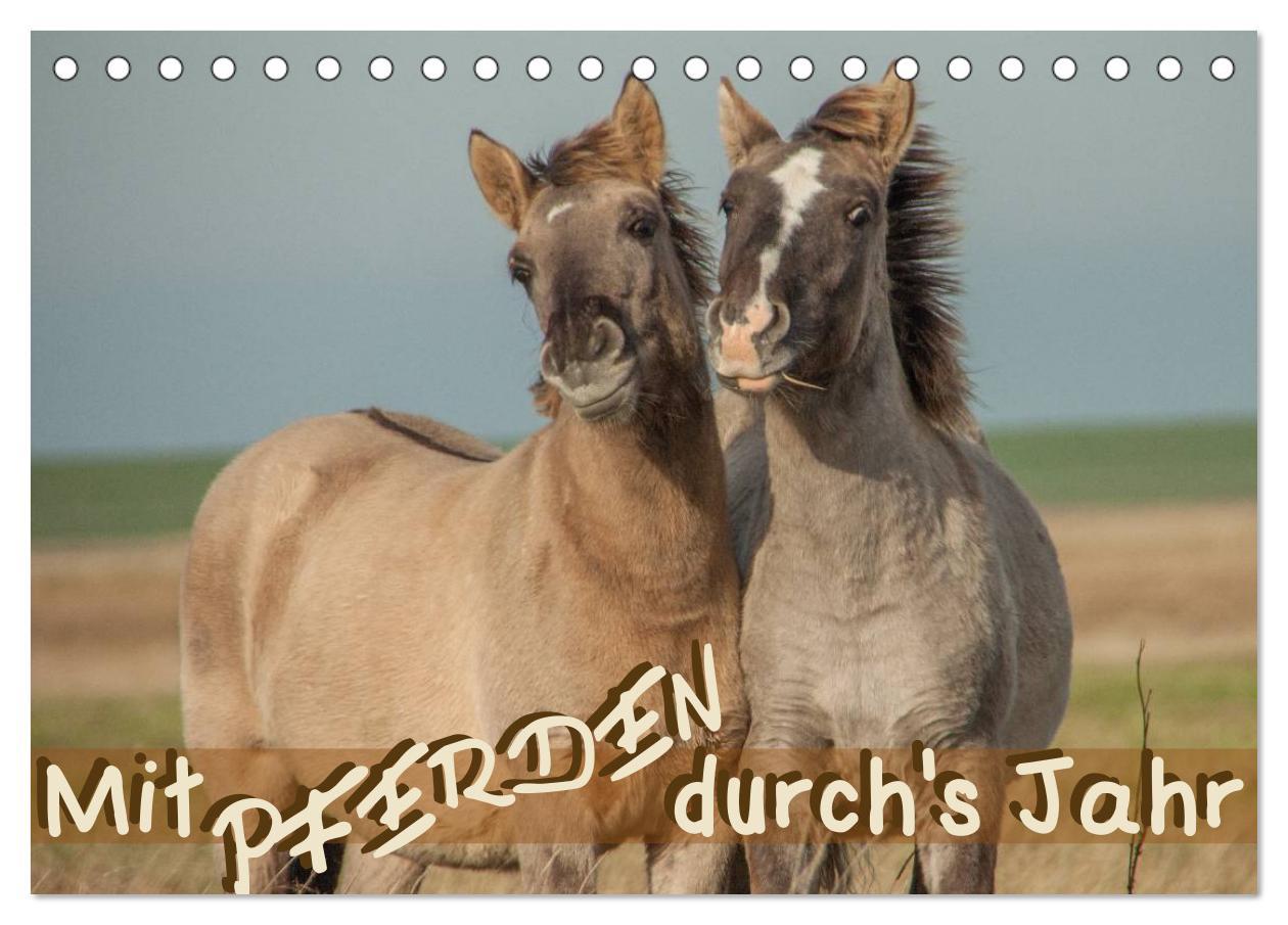 Kalendár/Diár Mit Pferden durch's Jahr (Tischkalender 2026 DIN A5 quer), CALVENDO Monatskalender Calvendo