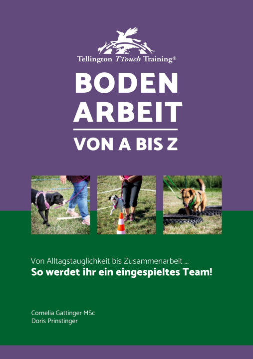 Kniha Bodenarbeit von A bis Z Doris Prinstinger