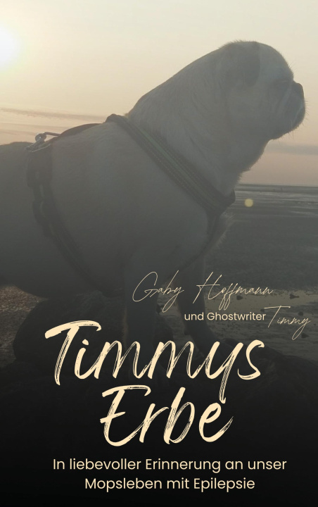 Boek Timmys Erbe Gaby Hoffmann