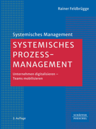 Knjiga Systemisches Prozessmanagement Rainer Feldbrügge