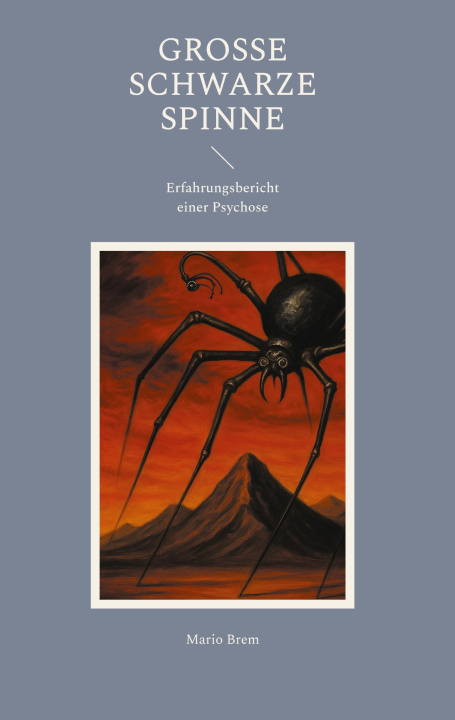 Книга Große Schwarze Spinne 