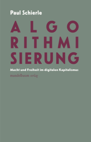 Kniha Algorithmisierung Paul Schierle