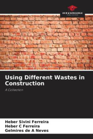 Kniha Using Different Wastes in Construction Heber C Ferreira