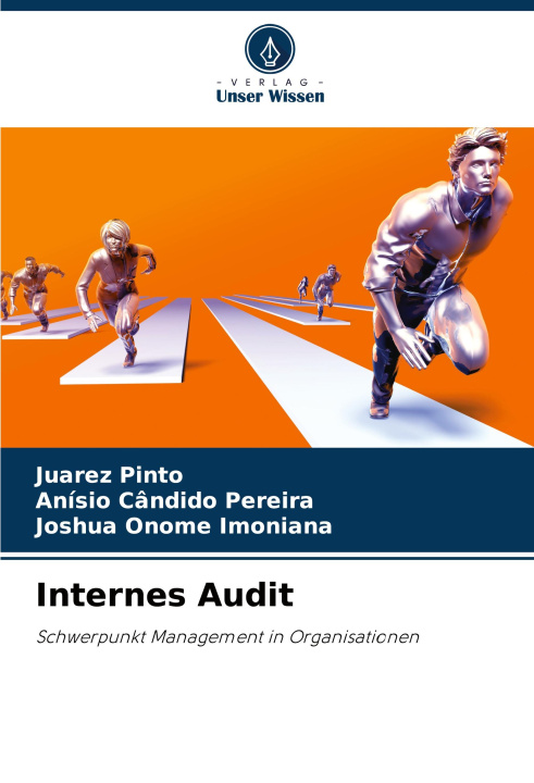 Kniha Internes Audit Anísio Cândido Pereira
