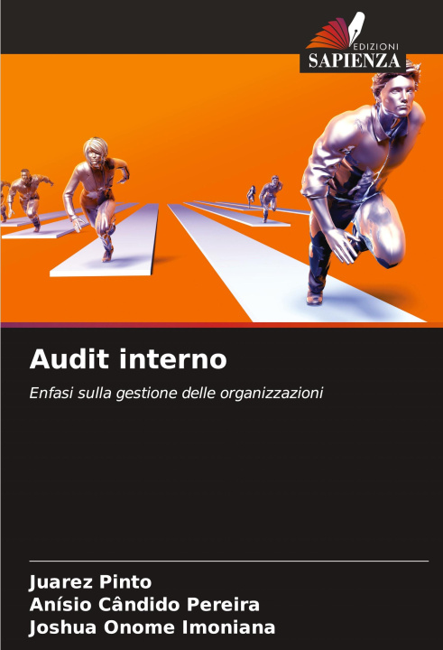 Kniha Audit interno Anísio Cândido Pereira