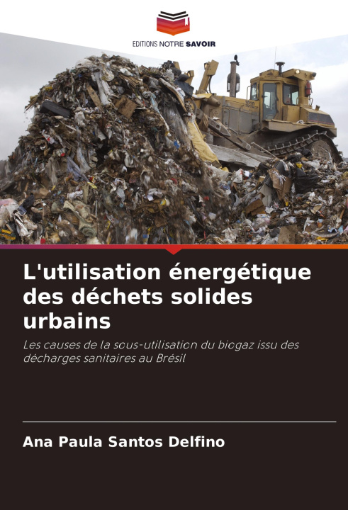 Kniha L'utilisation énergétique des déchets solides urbains Ana Paula Santos Delfino